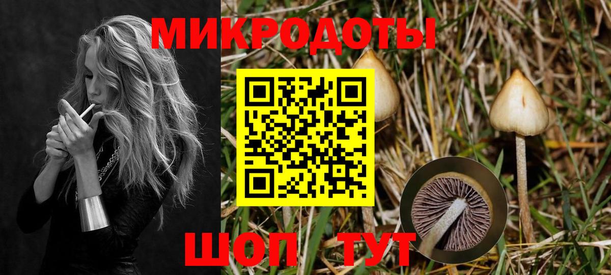 Реж  Псилоцибиновые грибы Magic Shrooms  Вход с VPN  Псилоцибиновые грибы GOLDEN TEACHER 