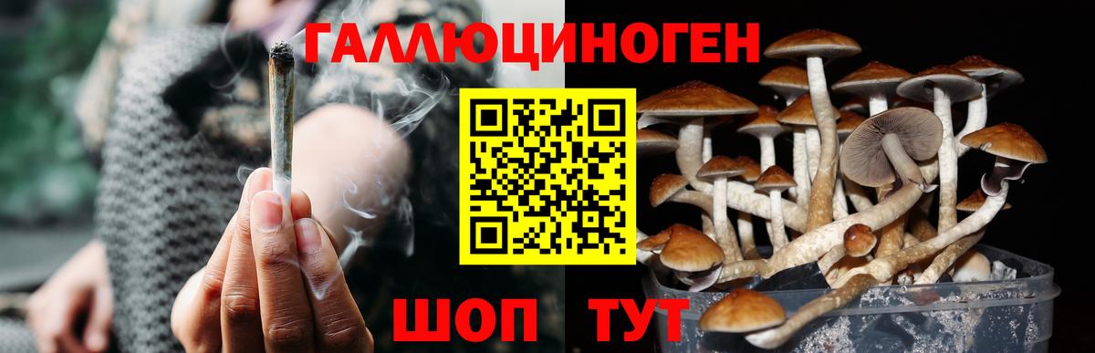 Псилоцибиновые грибы Cubensis Реж